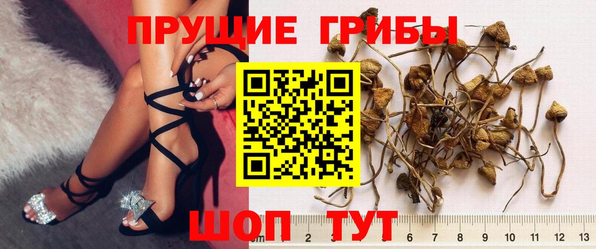 Псилоцибиновые грибы Magic Shrooms Георгиевск