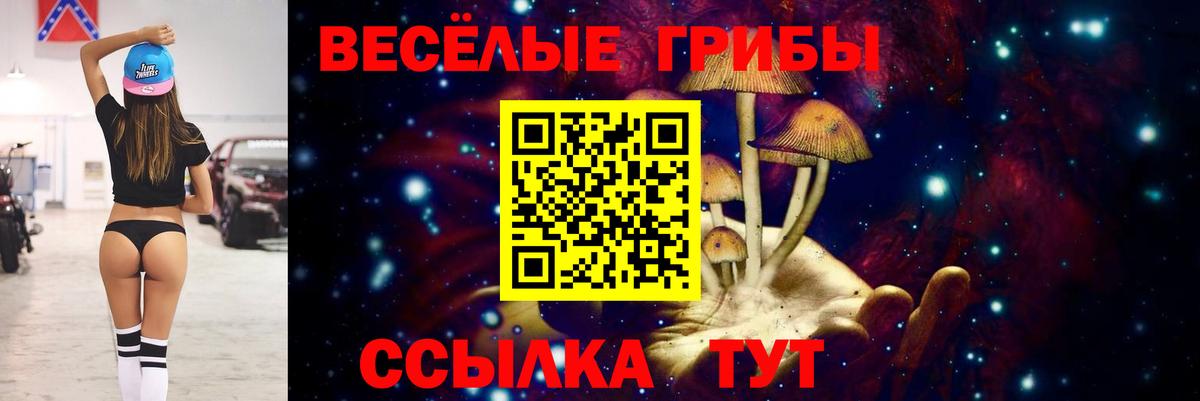 Псилоцибиновые грибы Magic Shrooms  Вход с VPN  Псилоцибиновые грибы Psilocybe  Георгиевск 