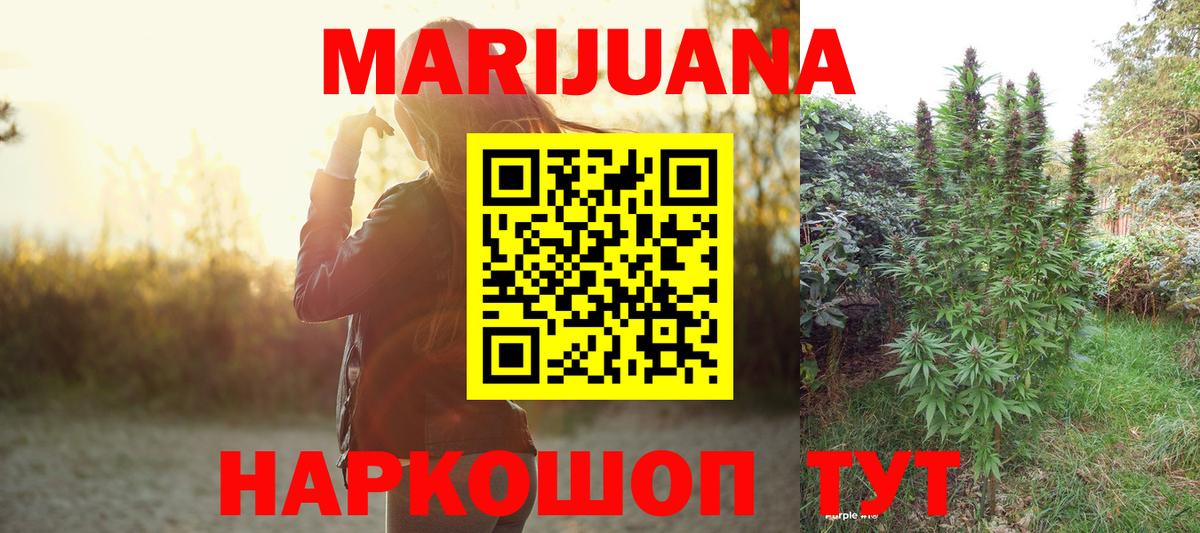 Каннабис индика Георгиевск